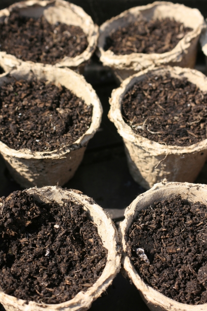 seedling pots